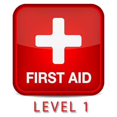 Firs-Aid-Online-Course-Level-1